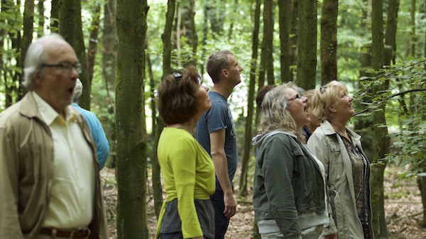 20150712 Workshop Zingen in het Bos 02